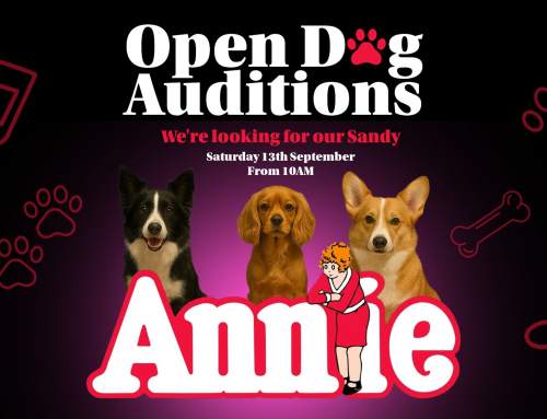 Could Your Dog Be Annie’s Sandy?